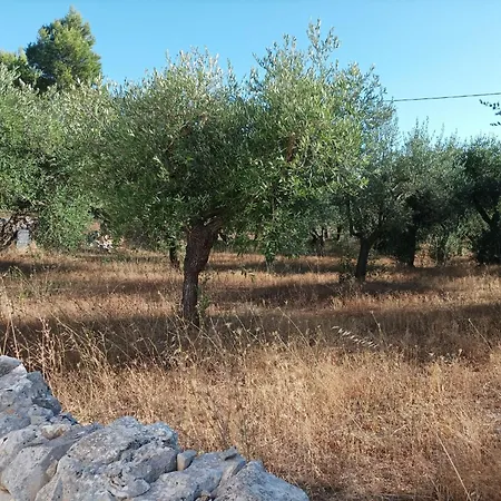 Apartmán Trulli Al Centro Della Valle D'itria *